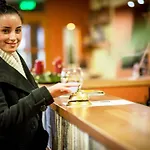 فندق Vineyard - Szoloskert 3*