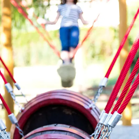 Vineyard - Szoloskert