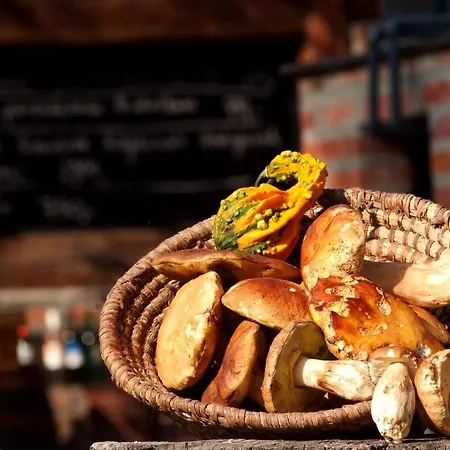 Hotel Vineyard - Szoloskert 3*