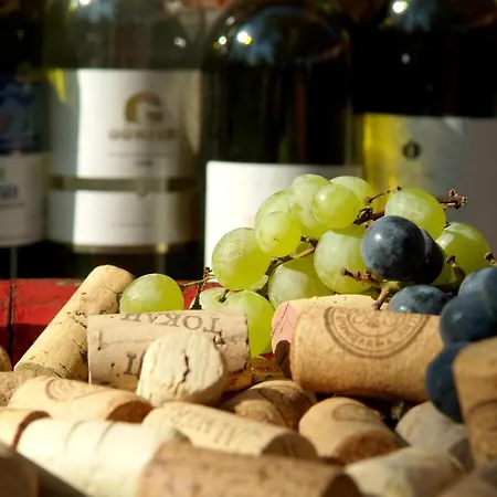 酒店 Vineyard - Szoloskert