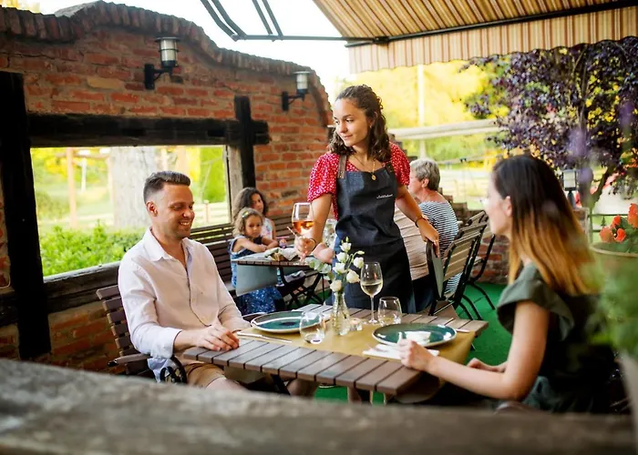 Vineyard - Szoloskert Hotel 3*