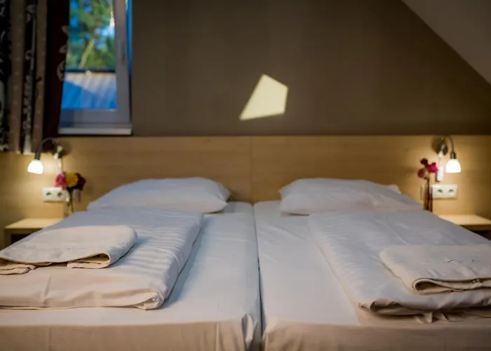 Hotel Vineyard - Szoloskert