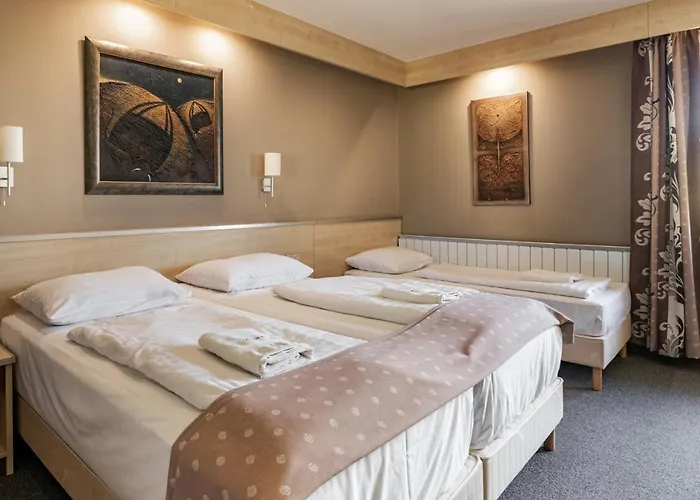 Vineyard - Szoloskert Hotel 3*