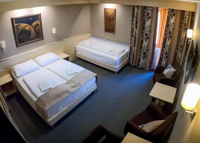 Vineyard - Szoloskert 3* Nagykanizsa