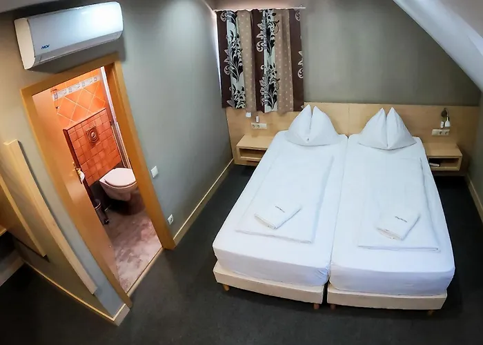 Vineyard - Szoloskert 3* ナジカニジャ