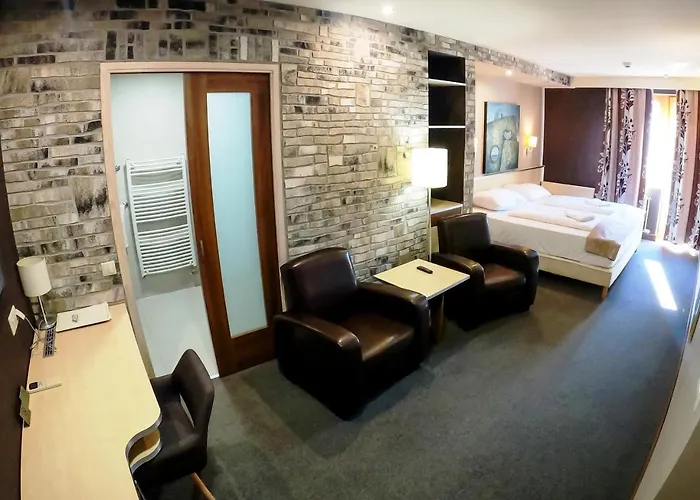 Vineyard - Szoloskert 3* ナジカニジャ