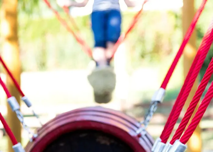 Vineyard - Szoloskert