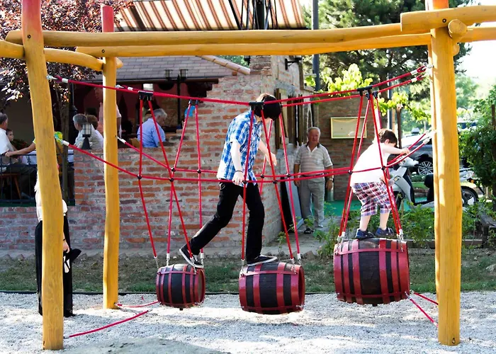 Hotel Vineyard - Szoloskert