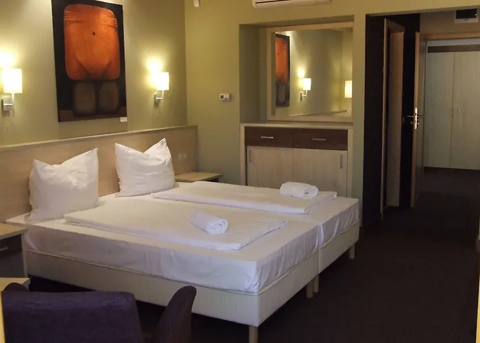 Vineyard - Szoloskert 3* ナジカニジャ