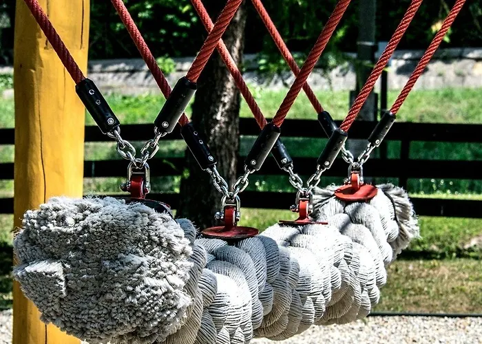 Vineyard - Szoloskert