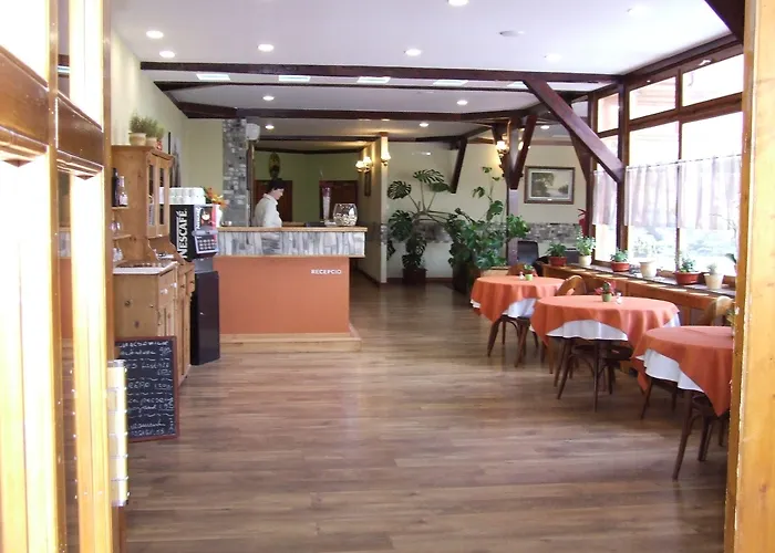 Vineyard - Szoloskert