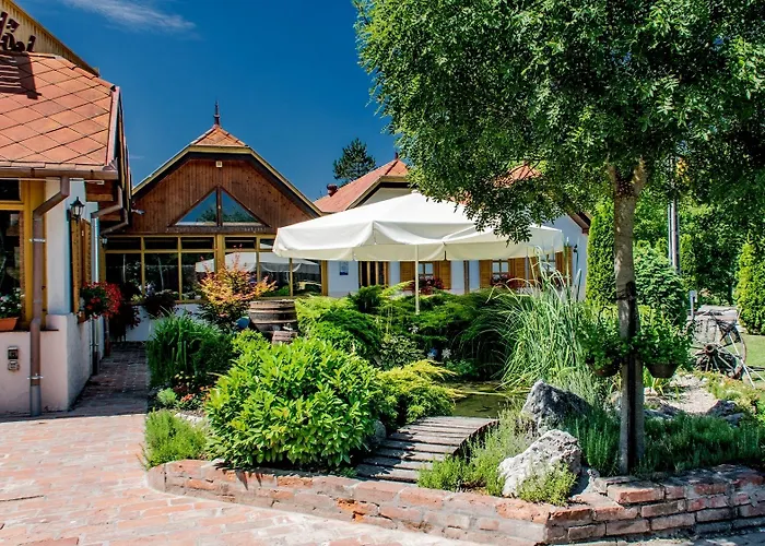 Vineyard - Szoloskert