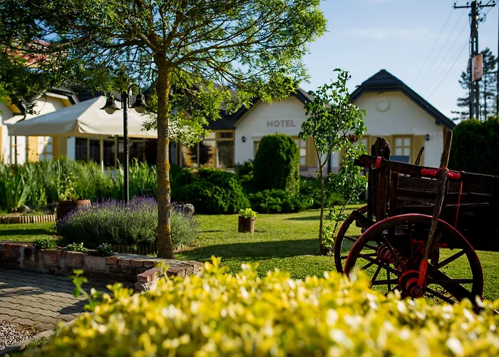 Vineyard - Szoloskert ナジカニジャ