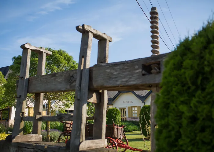 Vineyard - Szoloskert ナジカニジャ