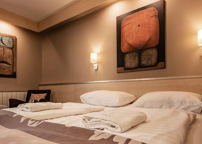 Hotel Vineyard - Szoloskert