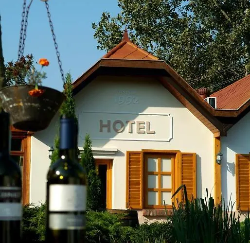 ホテル Vineyard - Szoloskert