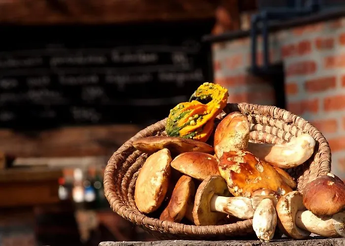 Hotel Vineyard - Szoloskert 3*