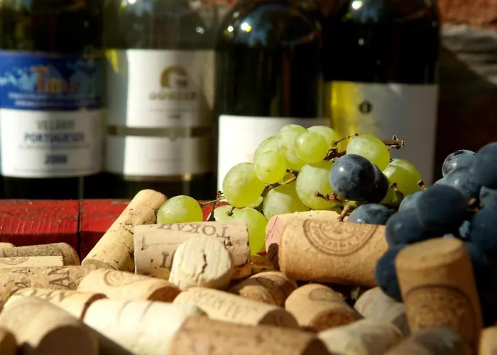 ホテル Vineyard - Szoloskert